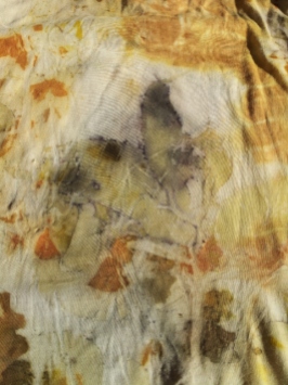 Closeup of euc and onion prints