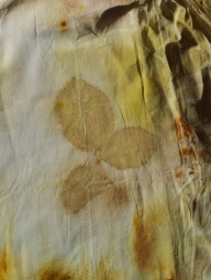 Closeup of rose leaf prints